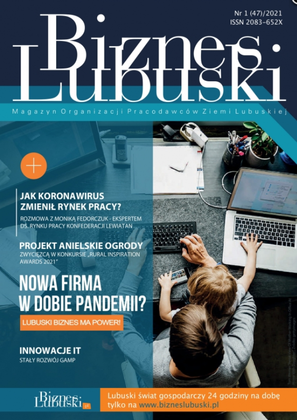 Biznes Lubuski nr 47