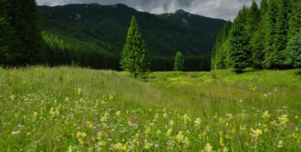 Bieszczady nie pomogą